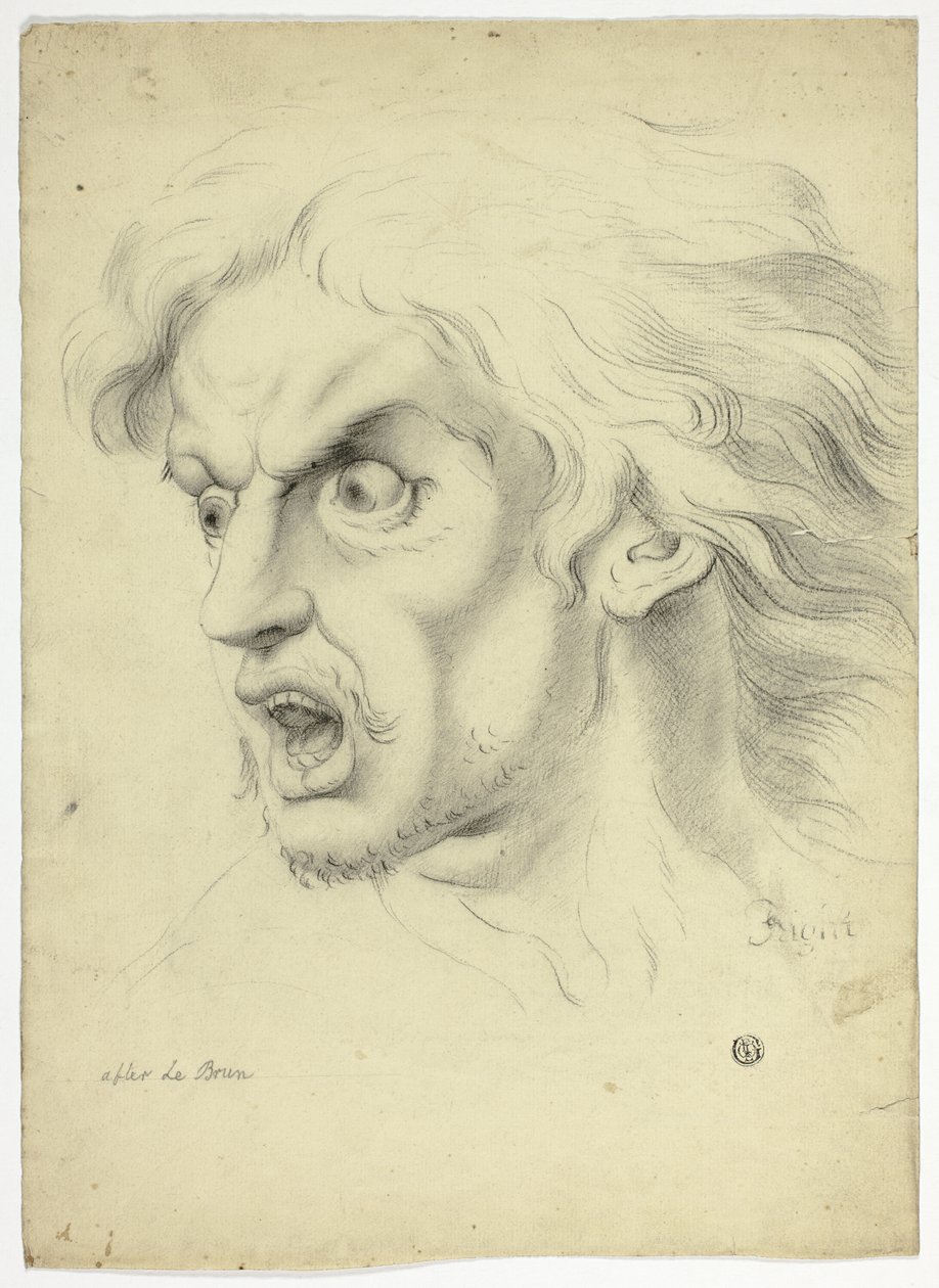 Angst door John Downman