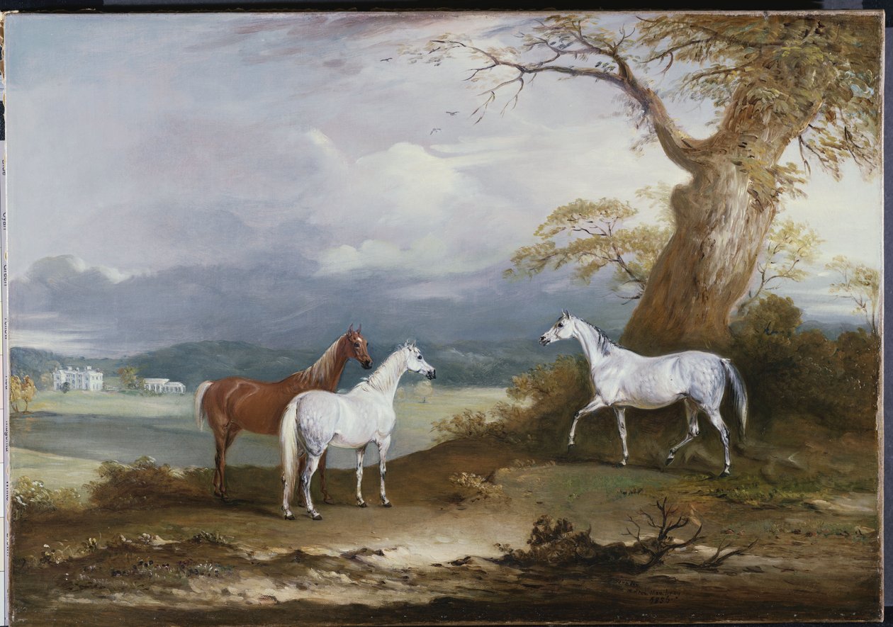 De merries van Lord Macdonald op het terrein van Thorpe Hall, Rudston, Yorkshire, 1836 door John E. Ferneley