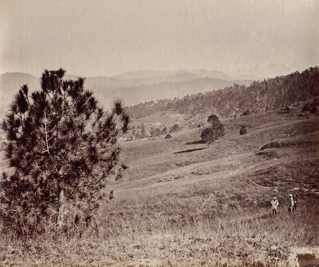 Landschap met boom en drie mannen, India door John Edward Saché