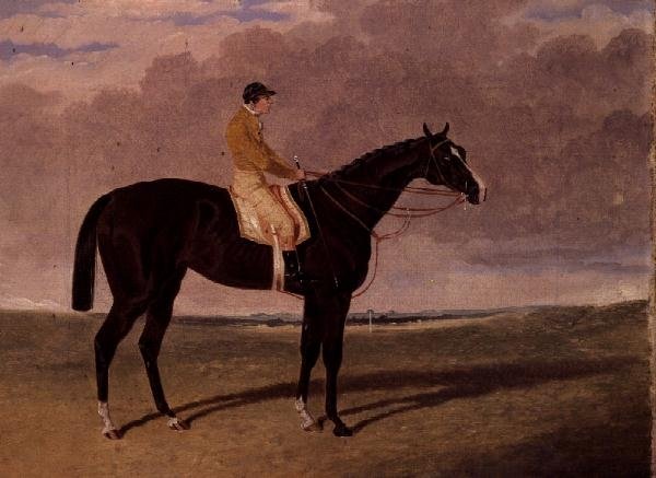 Queen of Trumps, een bruine renpaard met jockey door John Frederick Herring Jnr