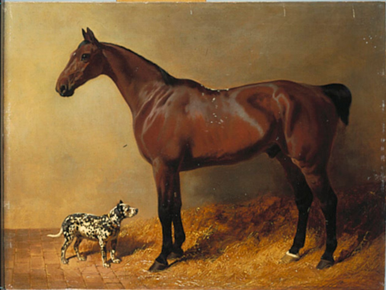 Een baai jager en een gevlekte hond in een stalinterieur, 1846 door John Frederick Herring Senior