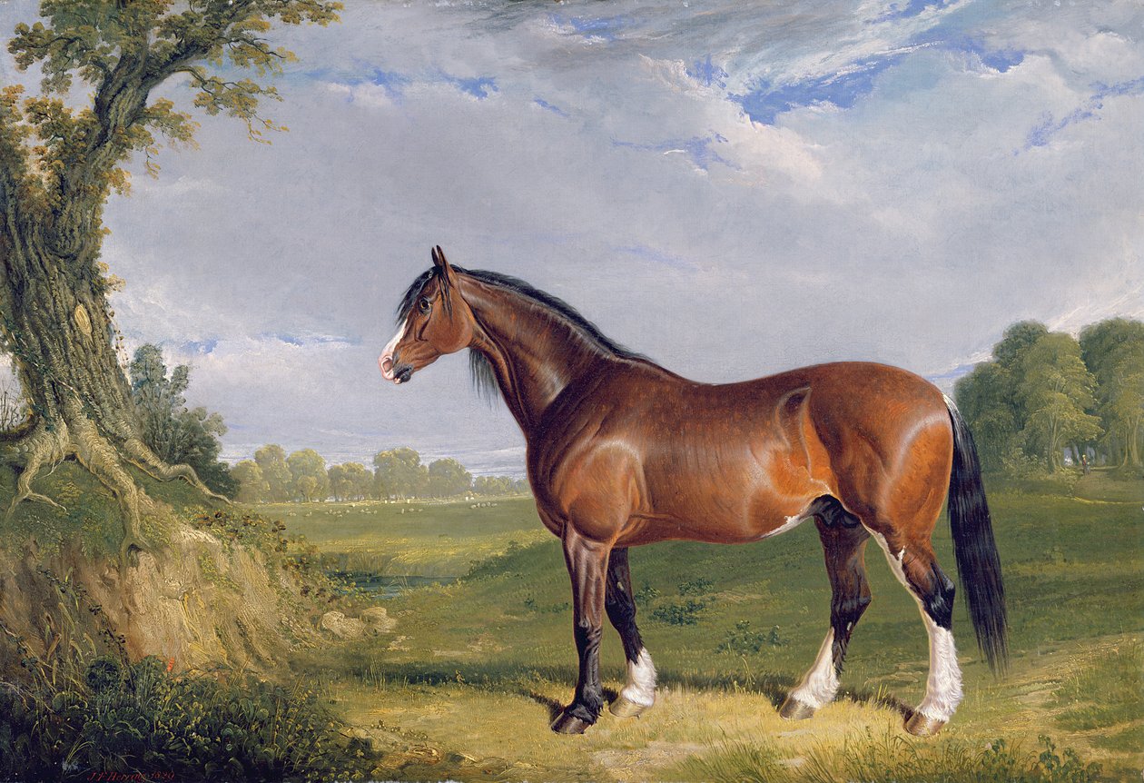 Een Clydesdale Hengst, 1820 door John Frederick Herring Senior