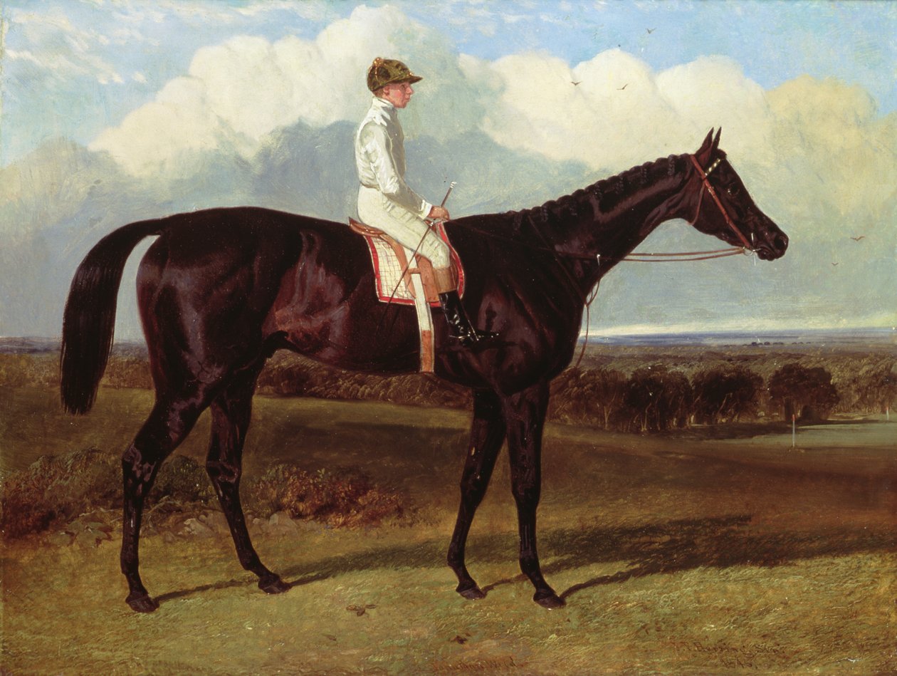 Jonathan Wild een donkerbruine renpaard, bij Goodwood, T.Ryder op, 1846 door John Frederick Herring Senior