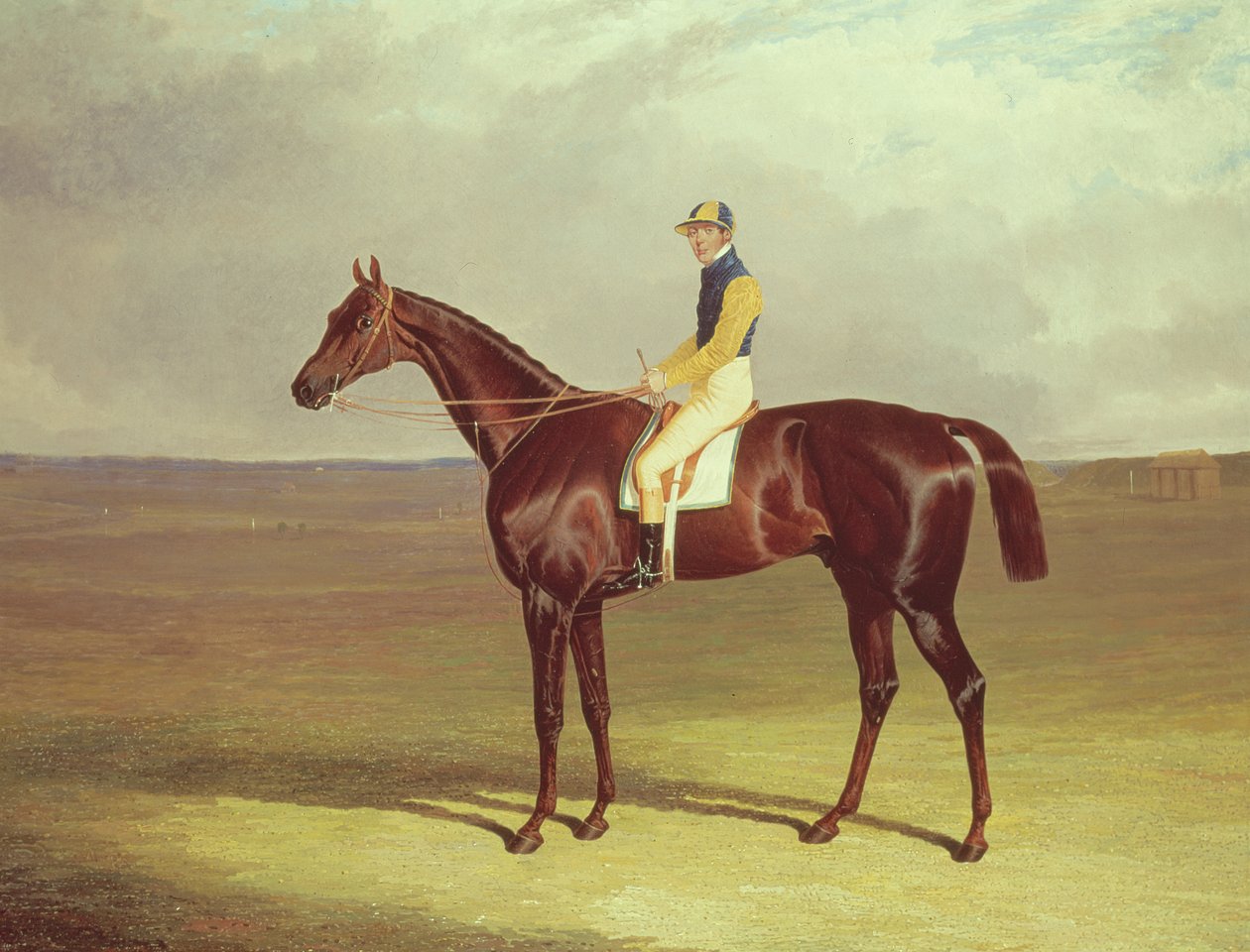 Mr. M. Stanleys Kruk op Newmarket Heath, 1833 door John Frederick Herring Senior