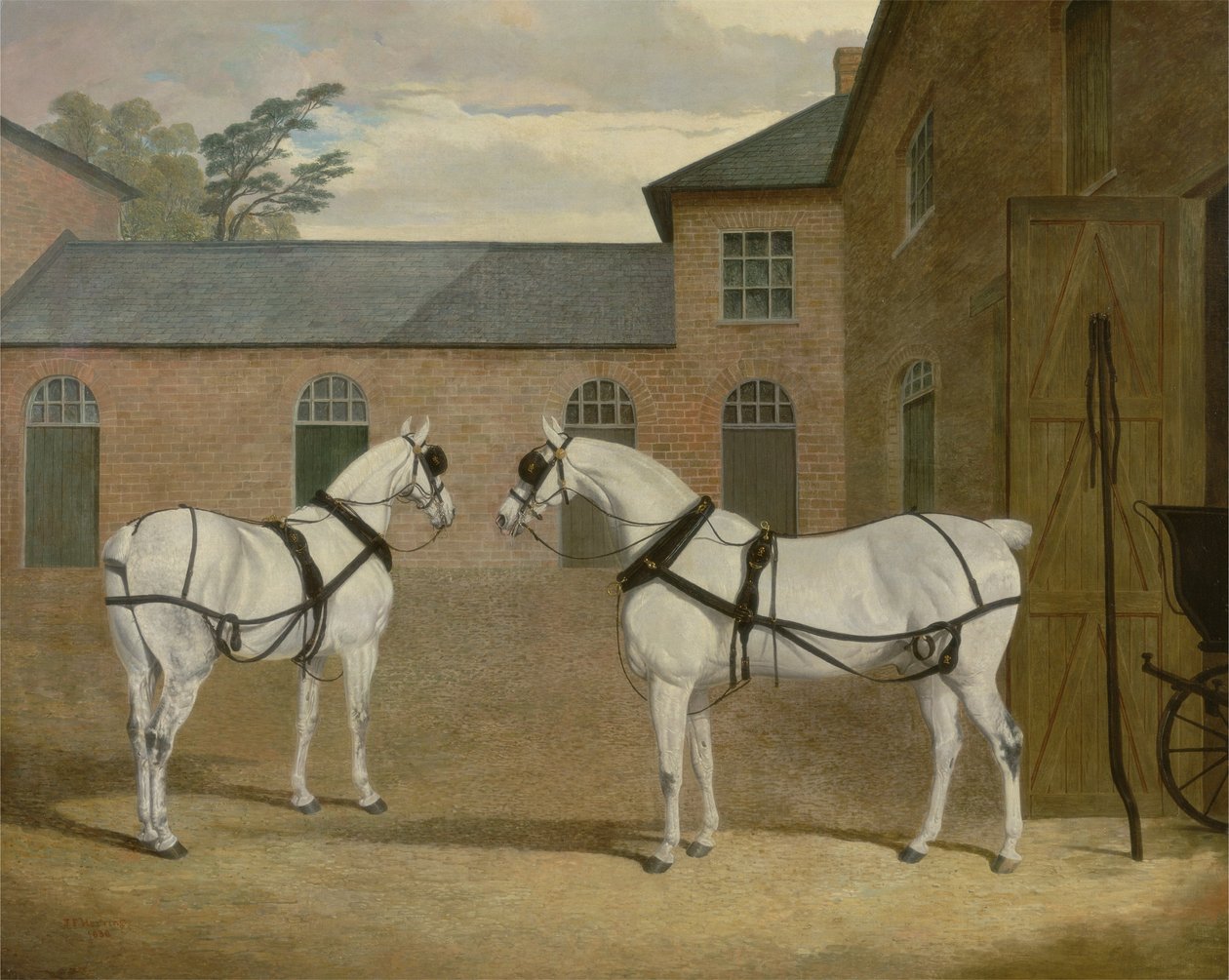 De grijze koetspaarden van de heer Sowerby in zijn koetshuis in Putteridge Bury, Hertfordshire, 1836 door John Frederick Herring Senior
