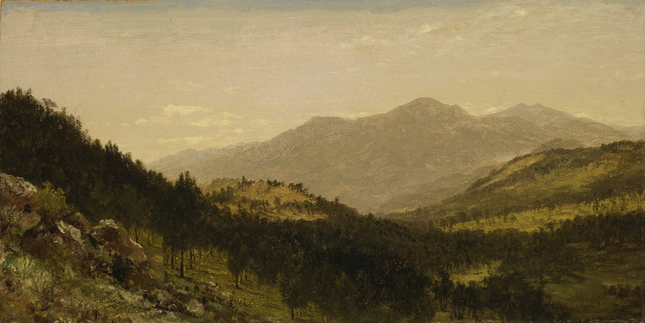 Bergen Park (Colorado) door John Frederick Kensett