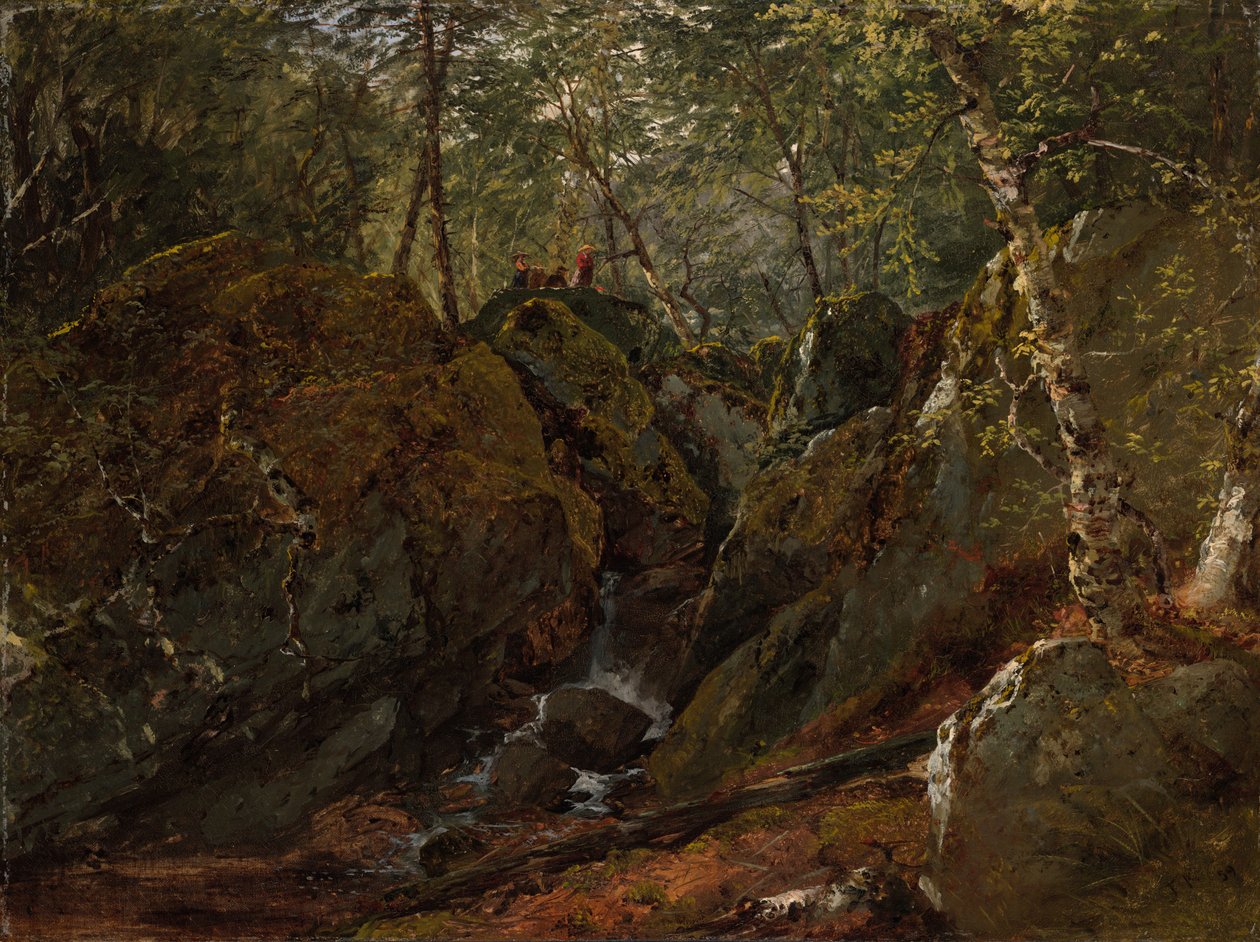Waterval van Catskill door John Frederick Kensett