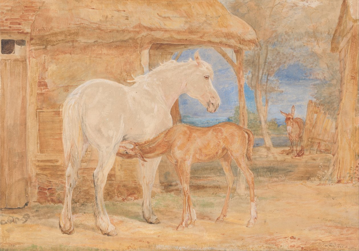 Grijze merrie en een kastanje veulen door John Frederick Lewis