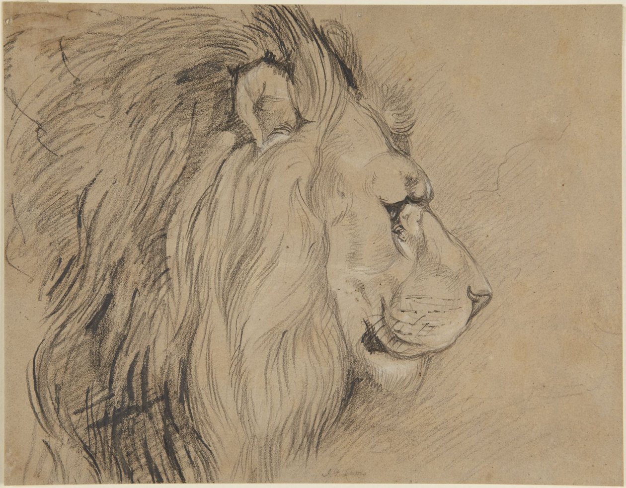 Leeuw door John Frederick Lewis