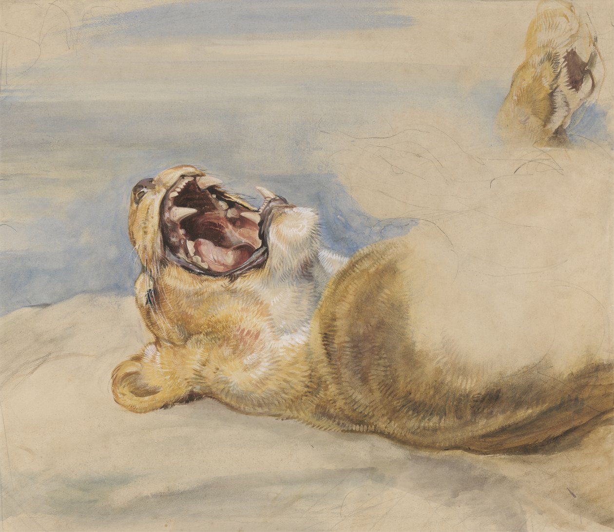Studie van een Leeuwin door John Frederick Lewis