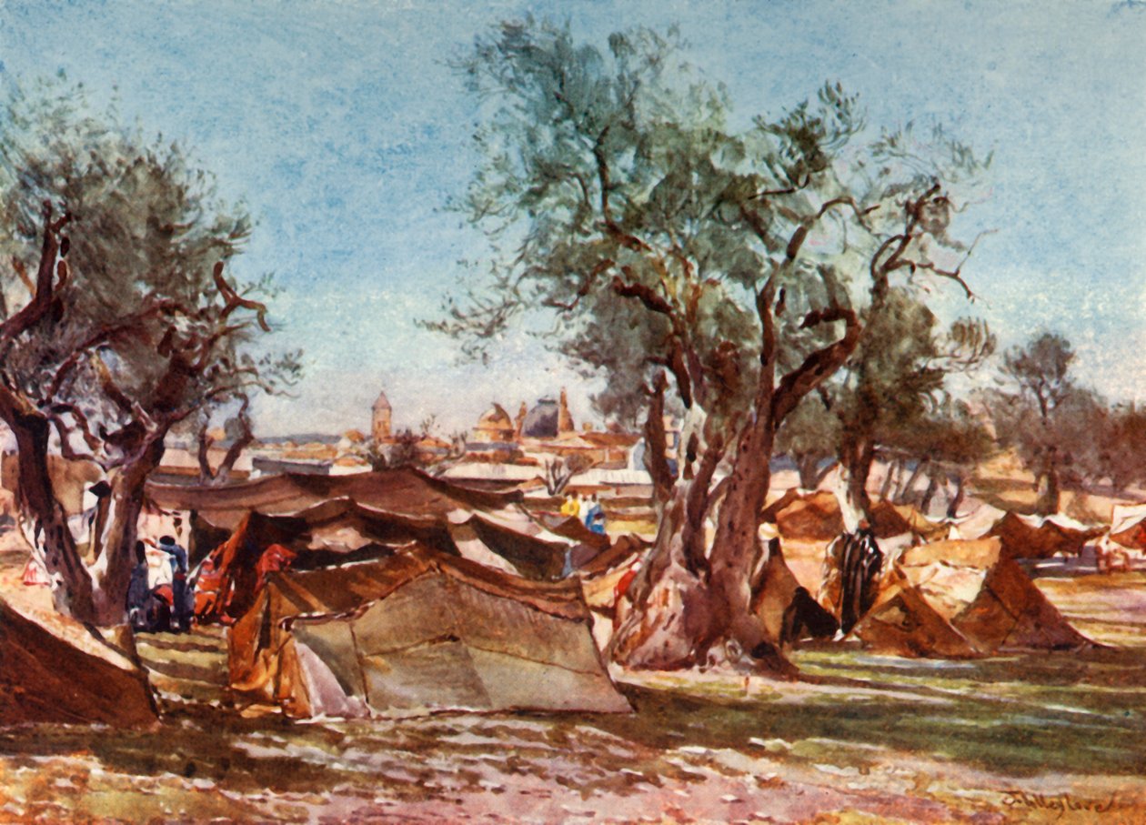 Bedoeïenenkamp buiten de noordelijke muur van Jeruzalem, 1902 door John Fulleylove