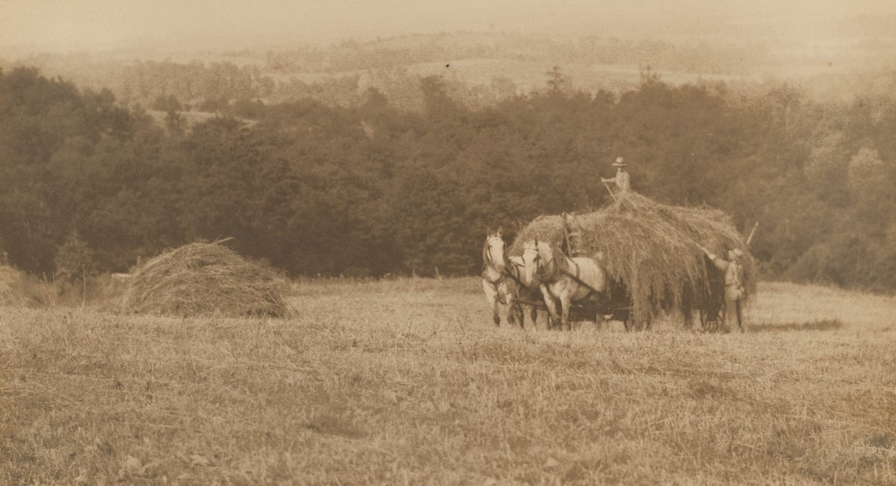 Loading Hay,1890-1900 (photo) door John G. Bullock
