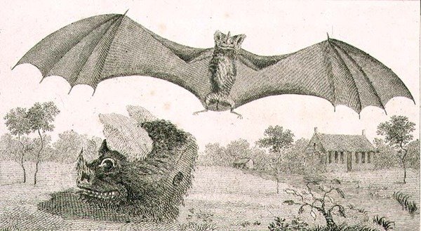 De Vampier of Geest van Guiana door John Gabriel (after) Stedman