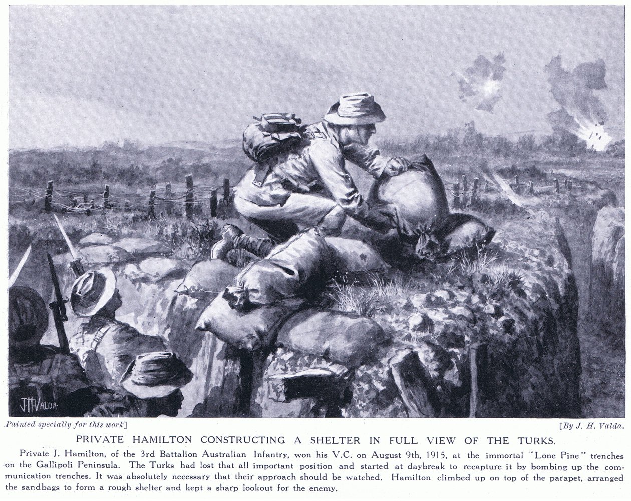 Soldaat Hamilton bouwt een schuilplaats in het volle zicht van de Turken bij de Lone Pine loopgraven op het Gallipoli-schiereiland augustus 1915 door John Harris Valda