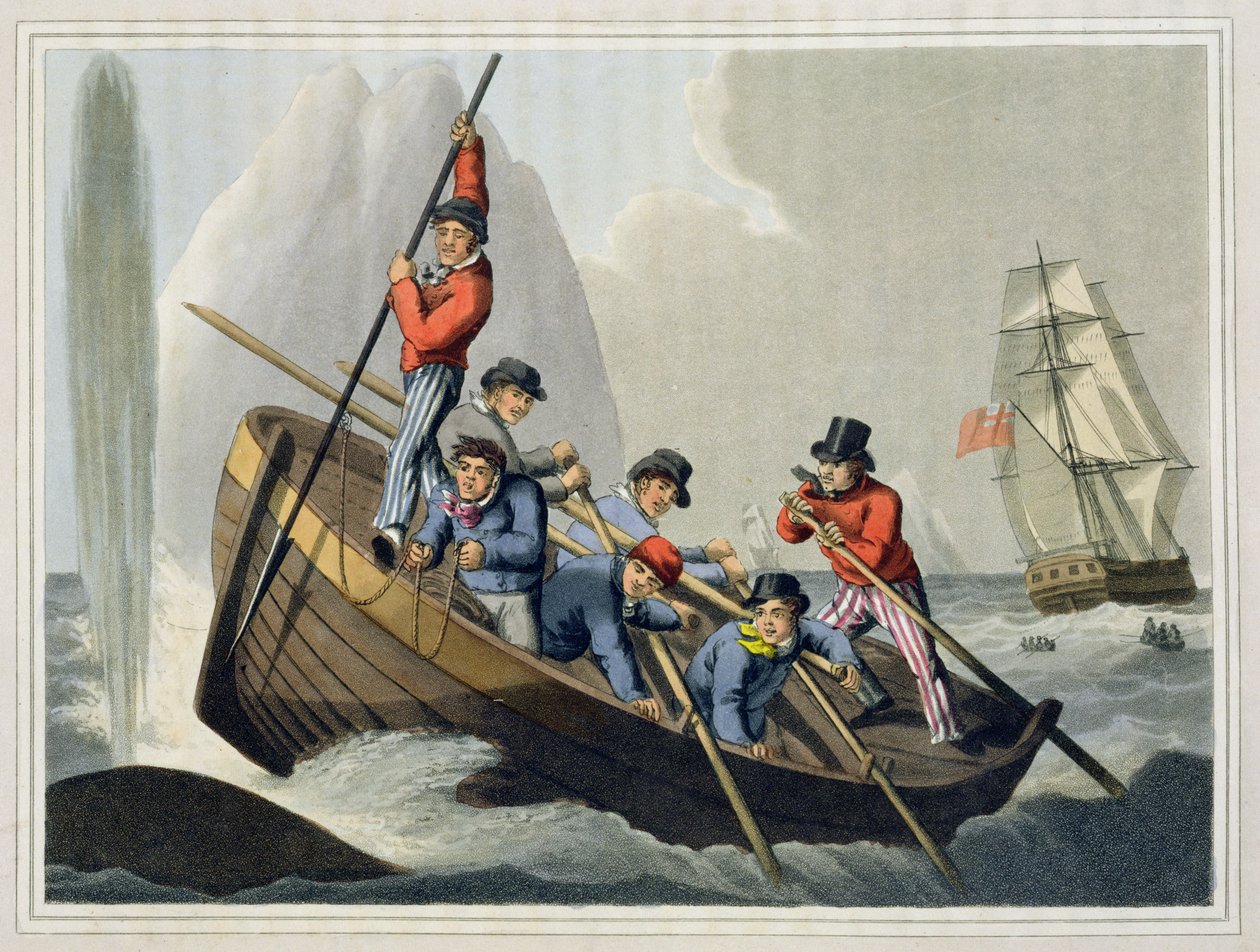 Een scheepsboot die een walvis aanvalt, gegraveerd door Matthew Dubourg, gepubliceerd door Edward Orme, 1813 door John Heaviside Clark