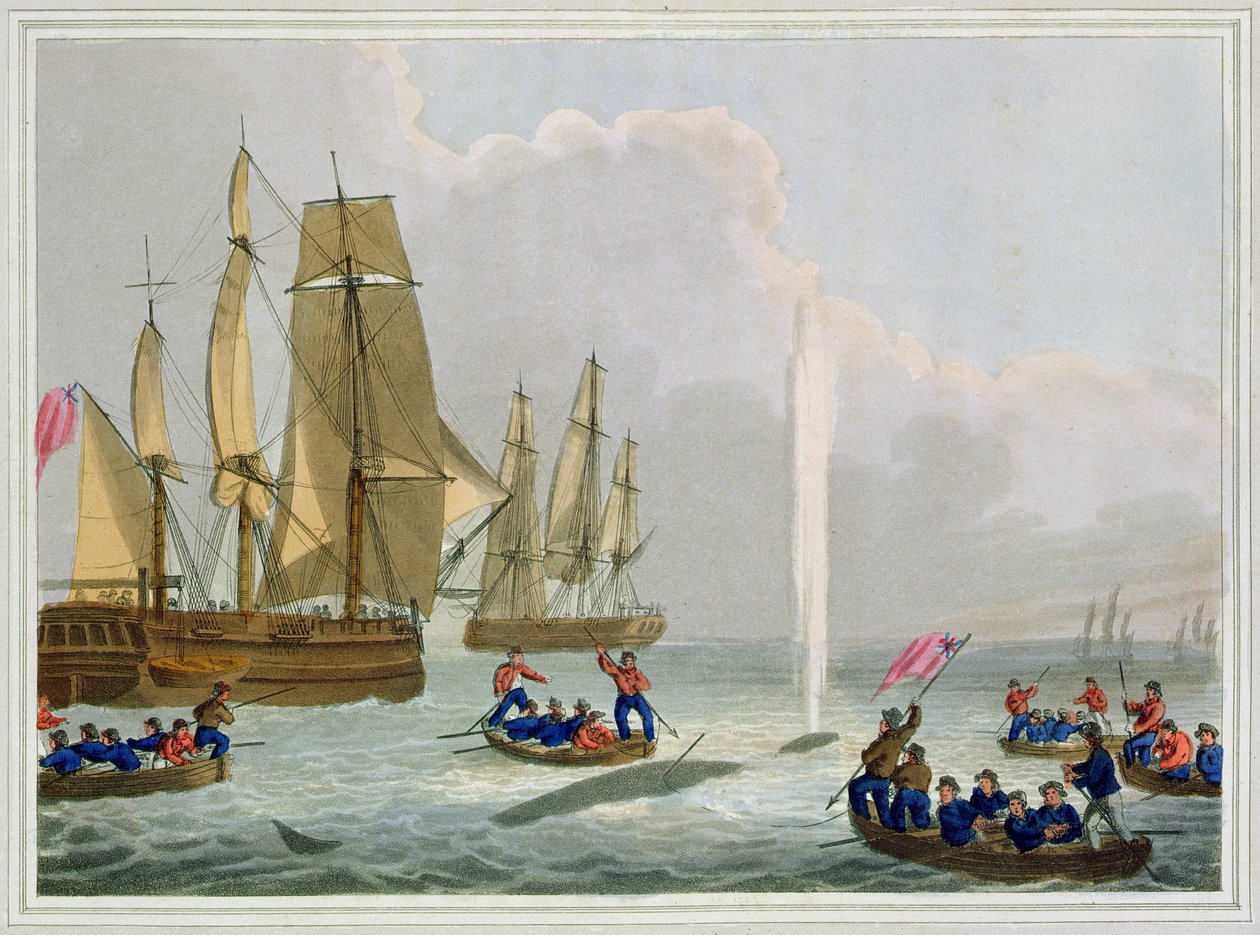 Boten naderen een walvis, gegraveerd door Matthew Dubourg, uitgegeven door Edward Orme, 1813 door John Heaviside Clark