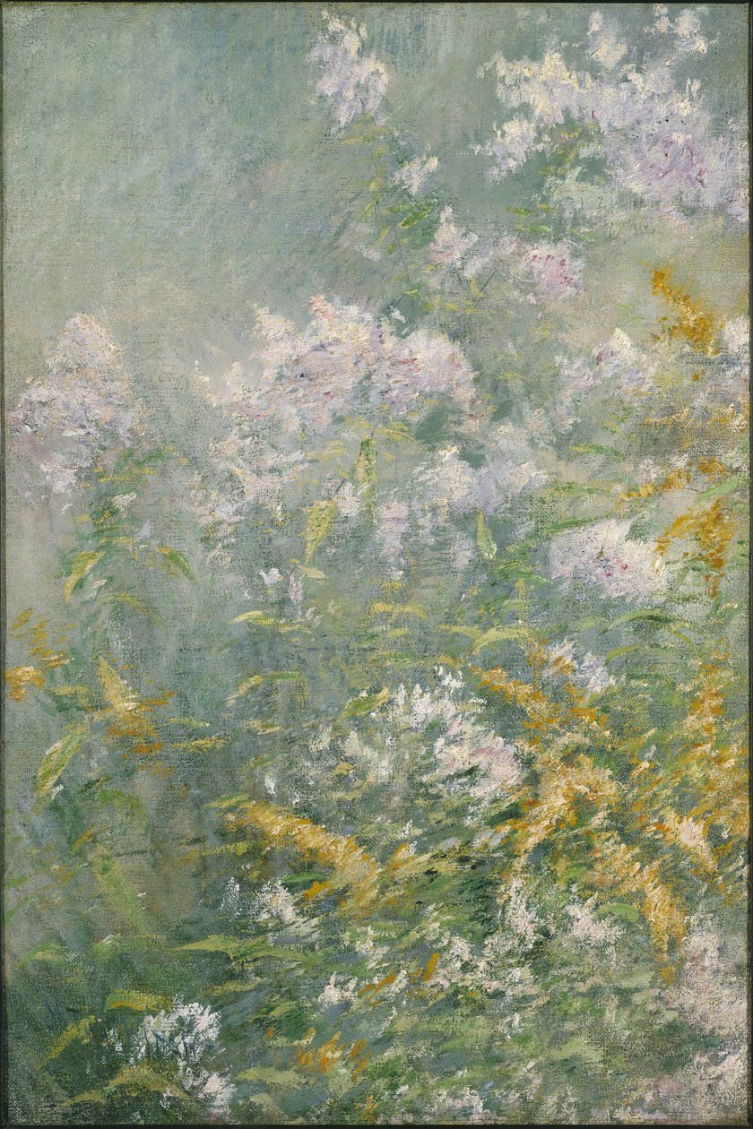 Weidebloemen (Guldenroede en Wilde Aster), c.1892 door John Henry Twachtman
