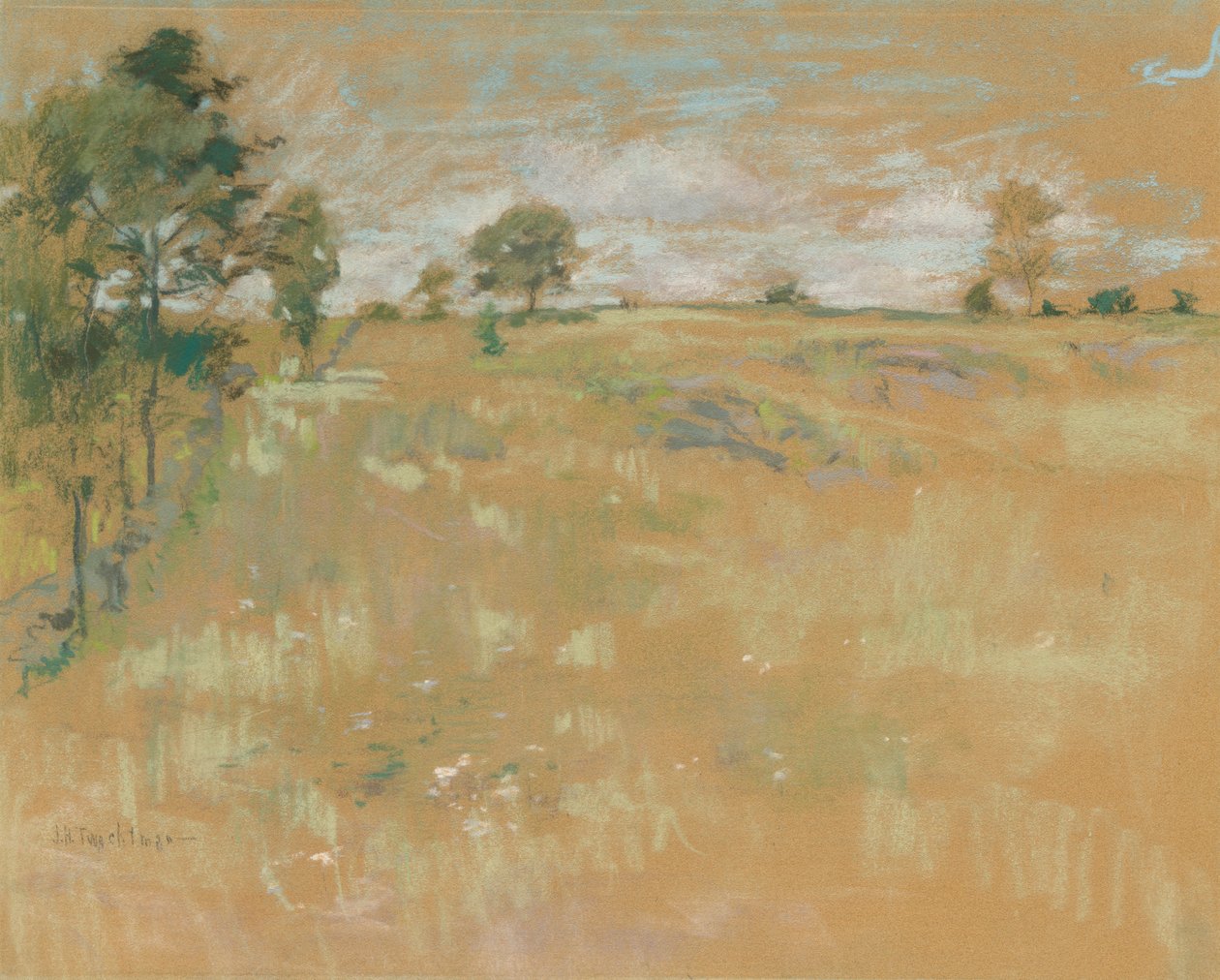 Weiden, Branchville, Connecticut door John Henry Twachtman