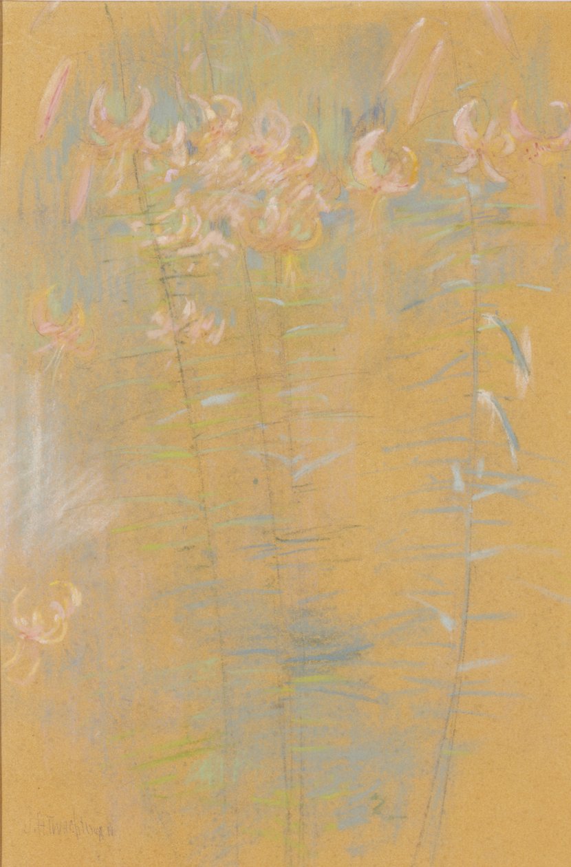 Tijgerlelies door John Henry Twachtman