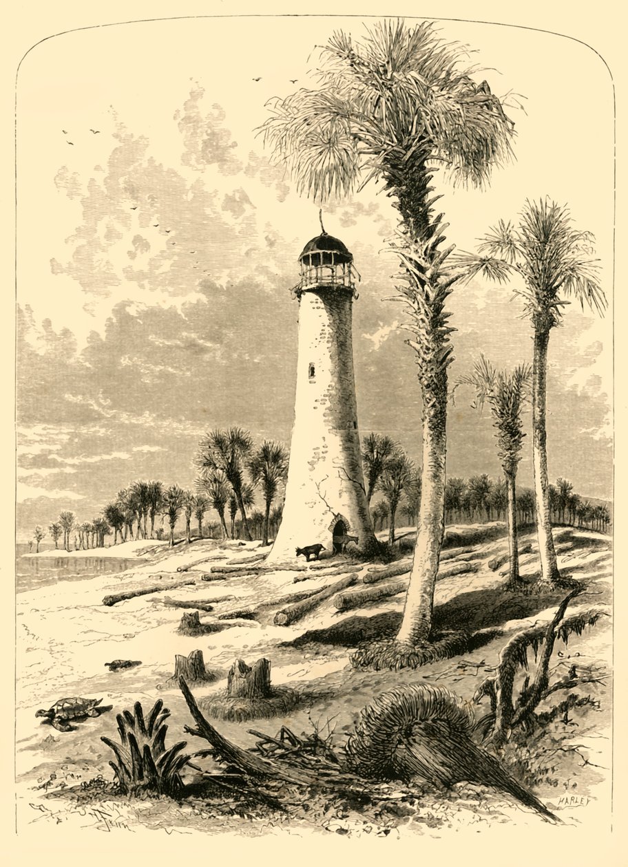 Bar Vuurtoren, monding van de St. John