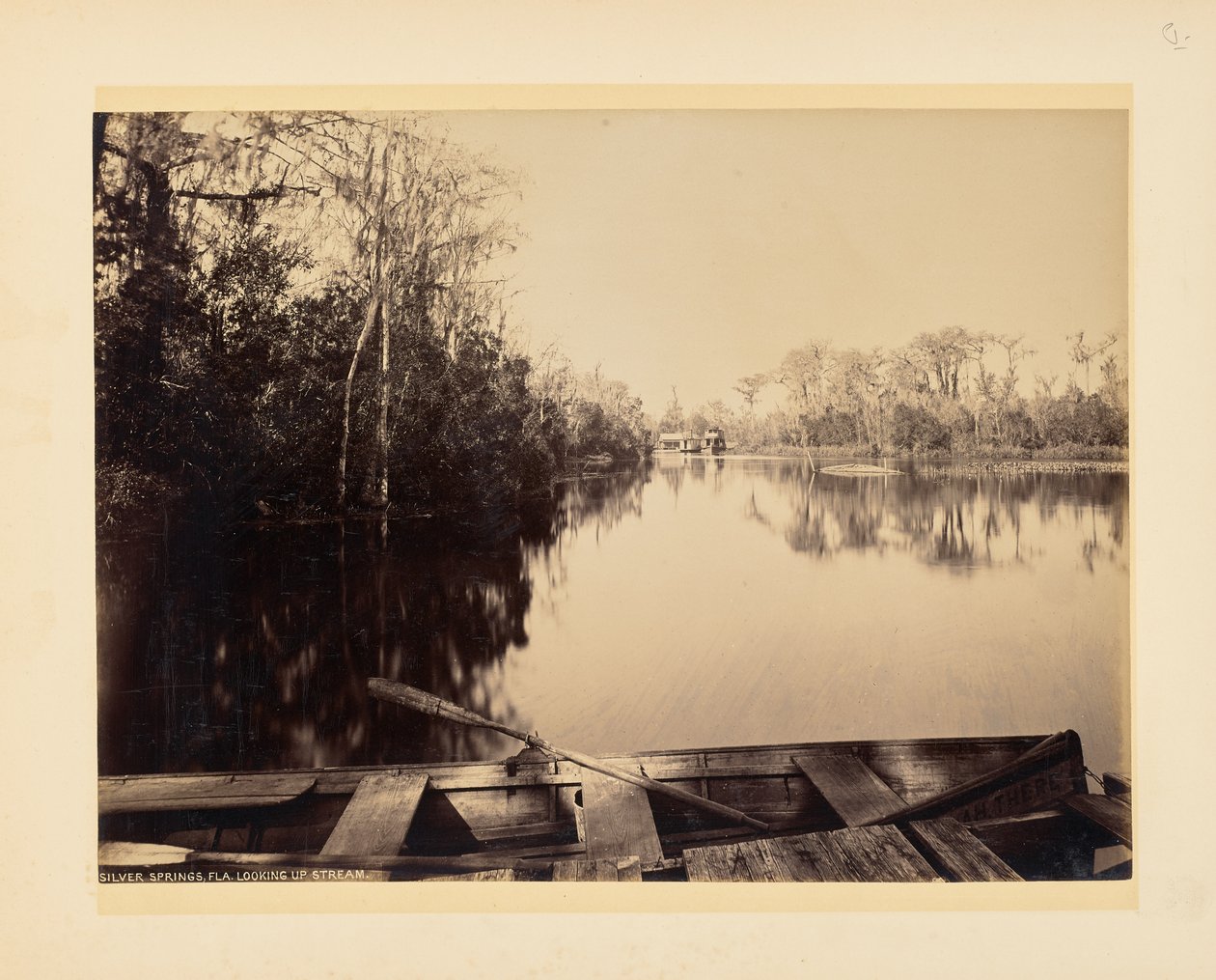 Silver Springs, Florida, stroomopwaarts gezien door John K. Hillers