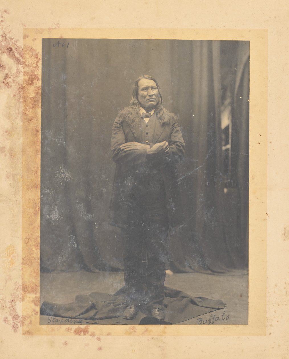 Stehender Büffel door John K. Hillers