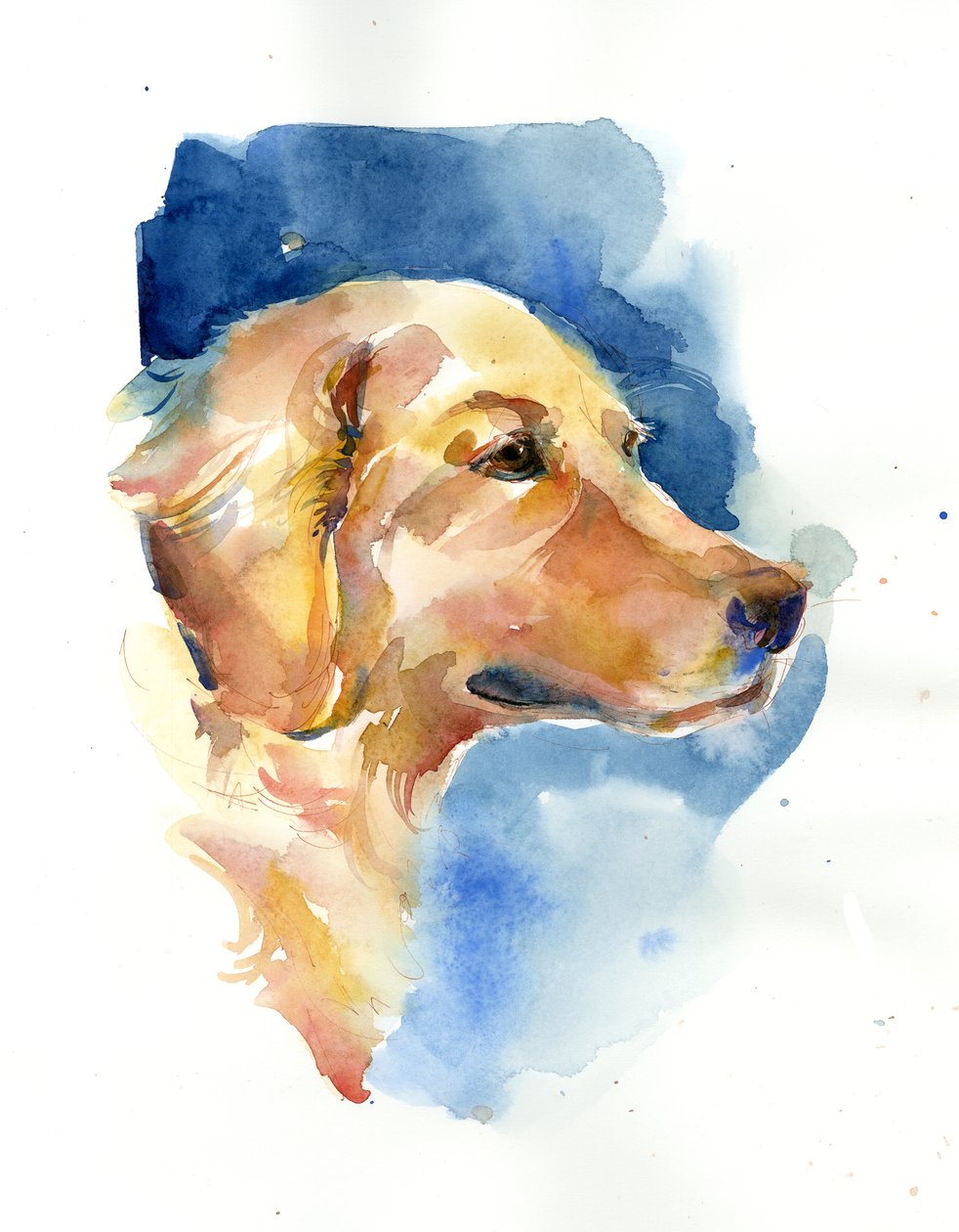 Golden Retriever, 2015 door John Keeling