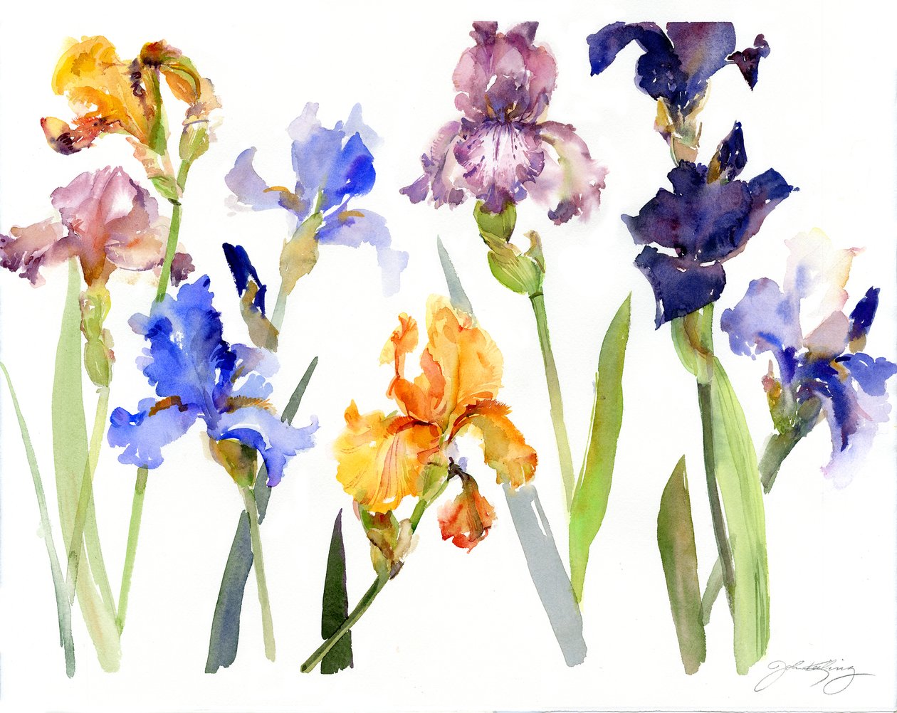 Iris door John Keeling