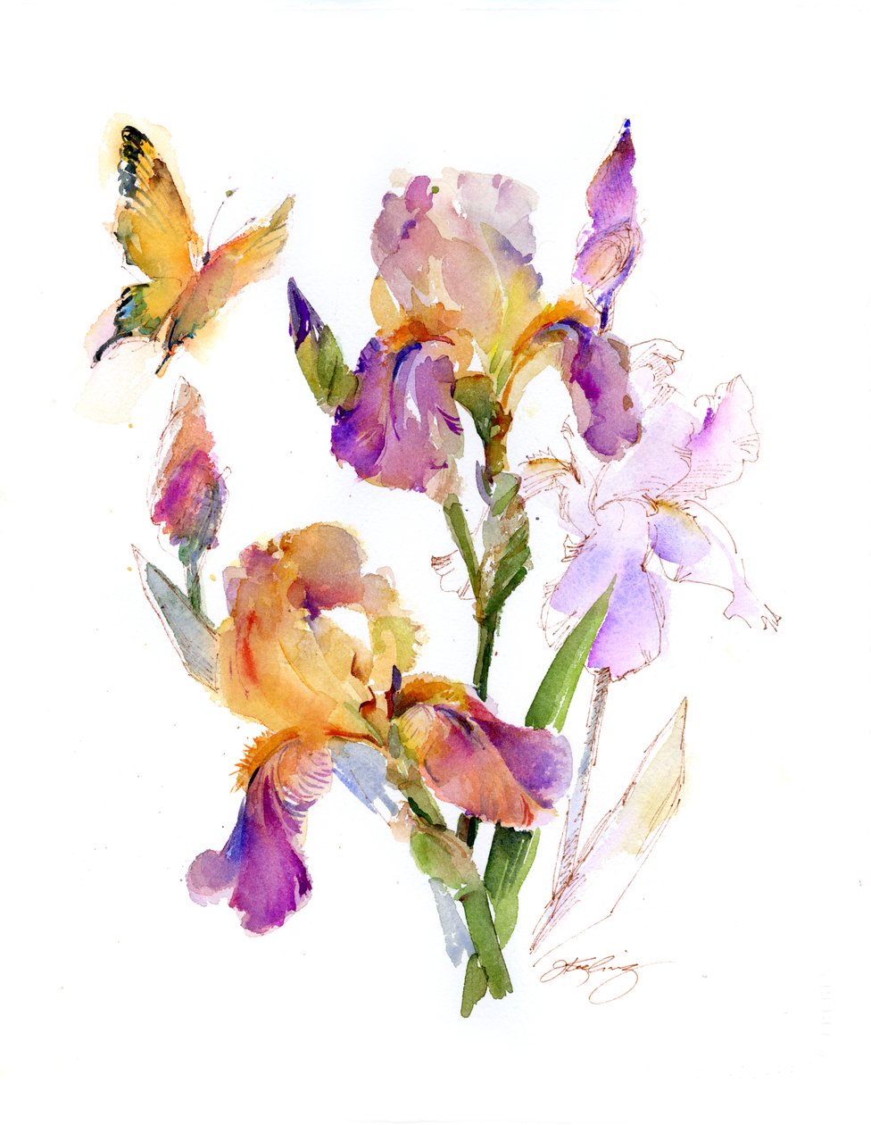 Iris met gele vlinder, 2016 door John Keeling