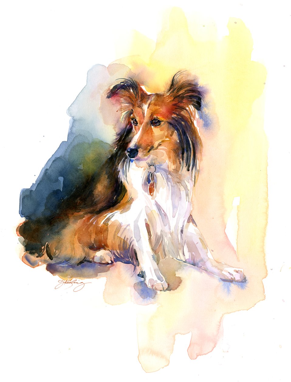 Sheltie portret, 2015 door John Keeling