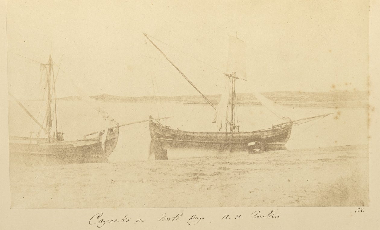 Kaaimannen in de Noordbaai, B.H. Renkioi door John Kirk