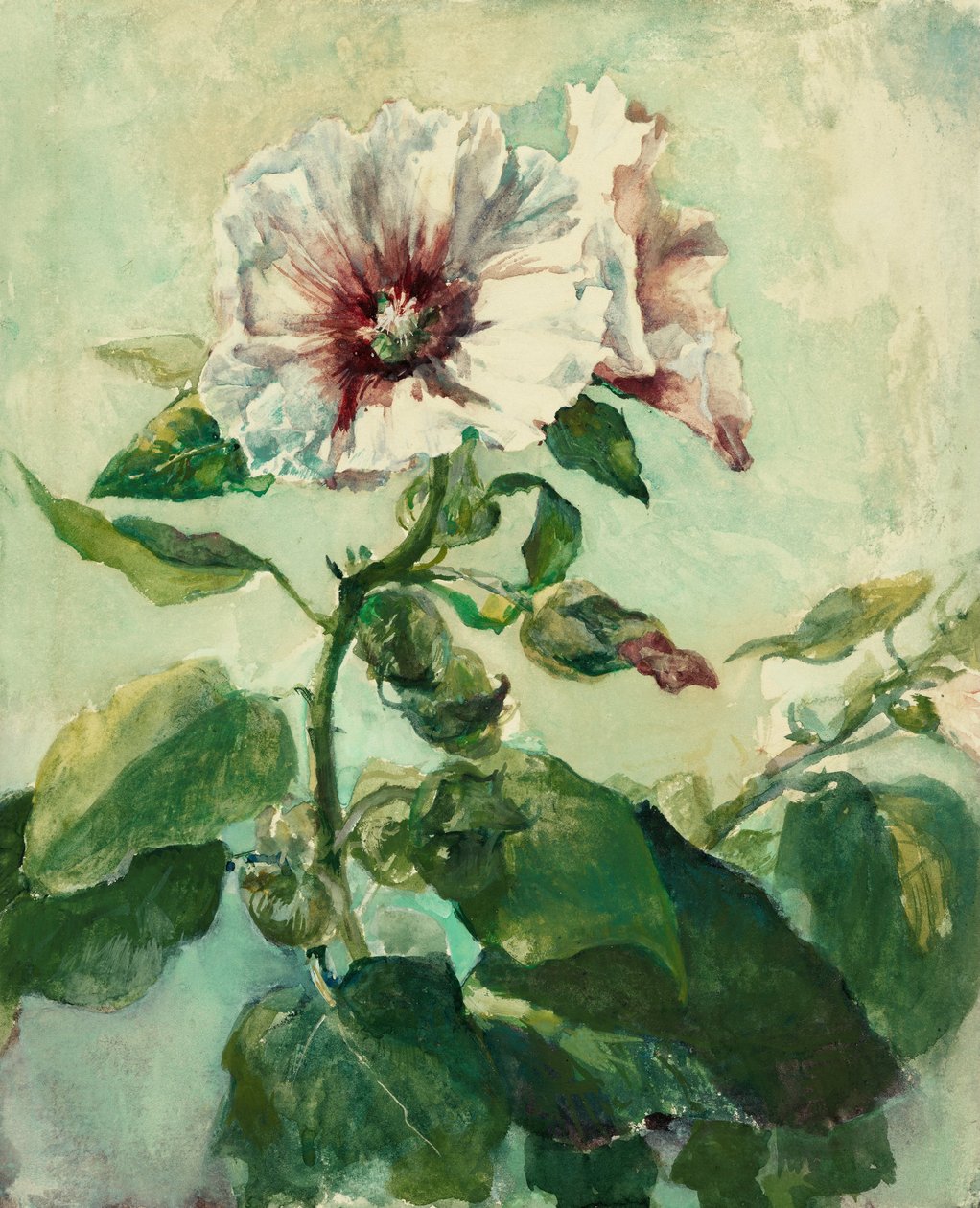 Studie van roze stokrozen in zonlicht, uit de natuur door John La Farge