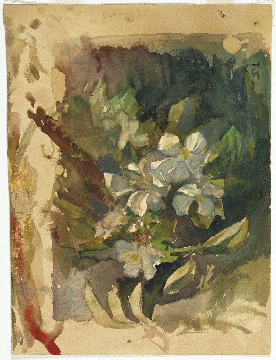 Appelbloesems in Zonlicht door John La Farge or Lafarge