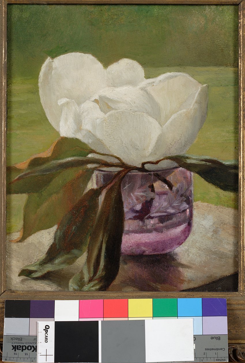 Magnolia Bloesem door John La Farge or Lafarge