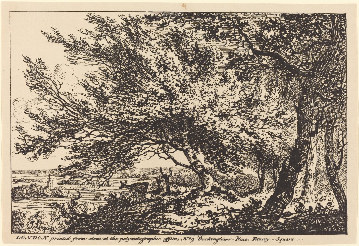 Landschap met herten onder bomen door John Laporte