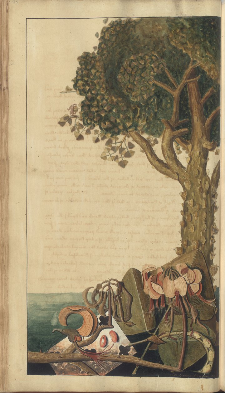 Een pagina uit de 