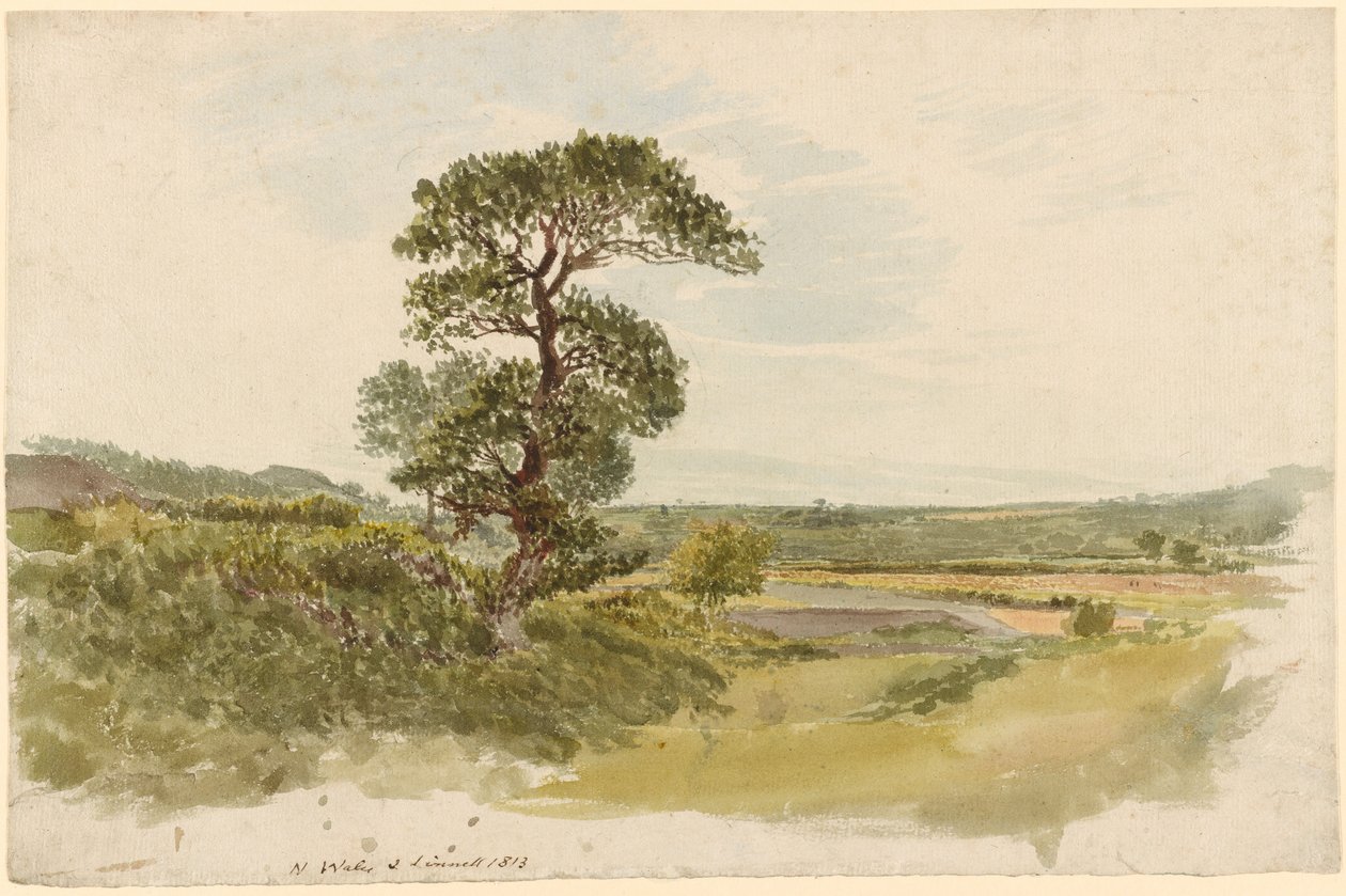 Een landschap in Snowdonia met een boom op de voorgrond door John Linnell