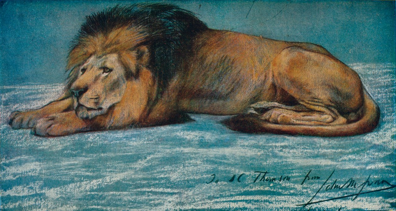 Pastelstudie van een leeuw, ca. 1900 door John Macallan Swan