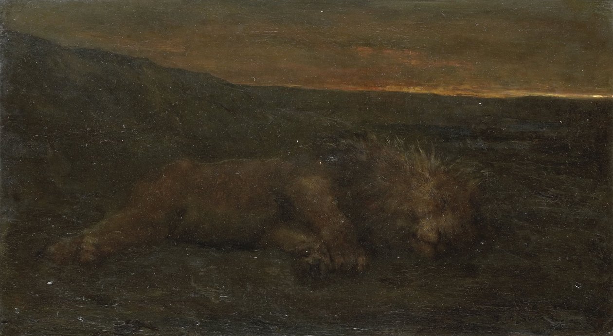 Slapende leeuw bij nacht door John Macallan Swan