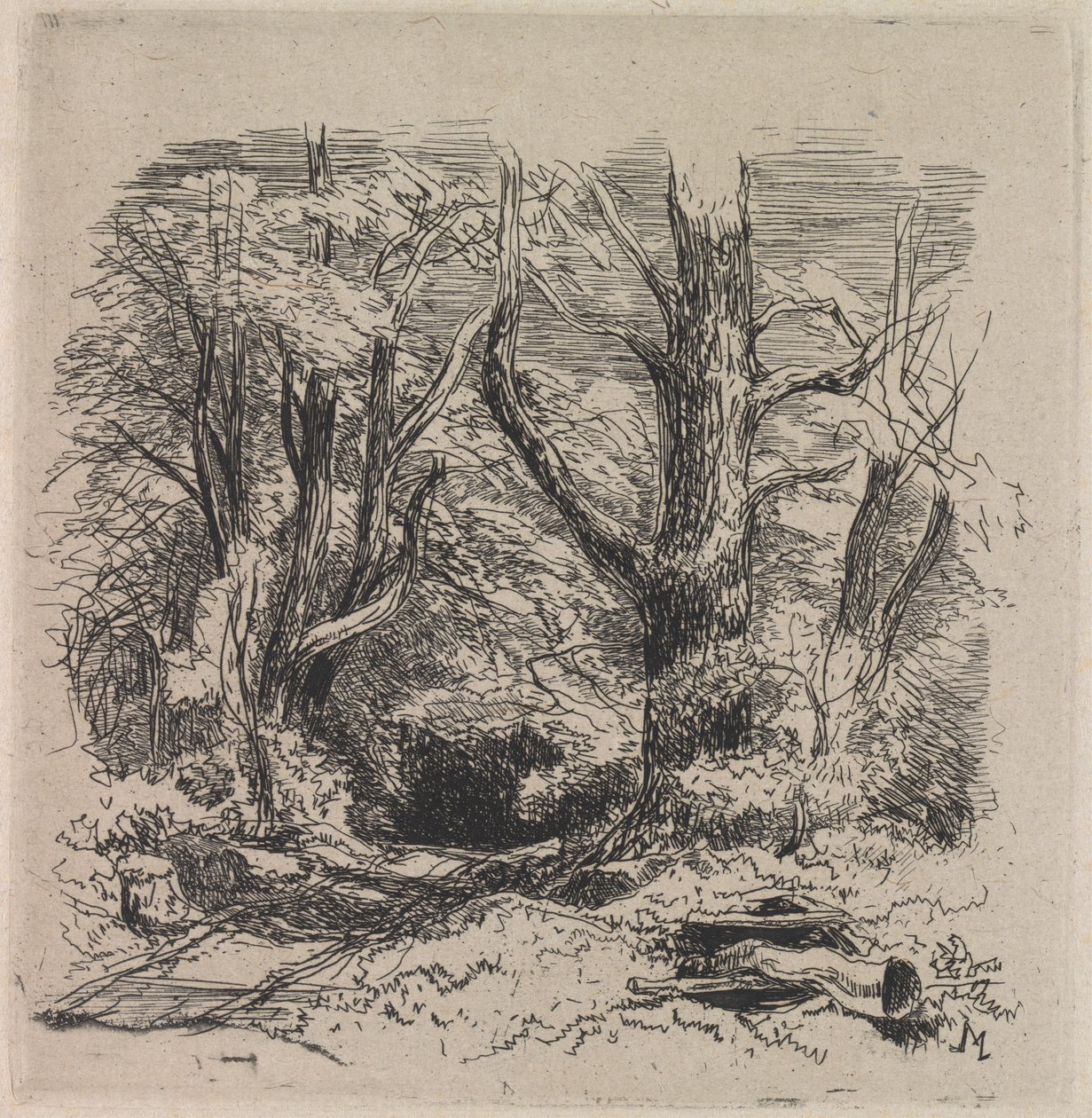 Een pad door het bos door John Middleton