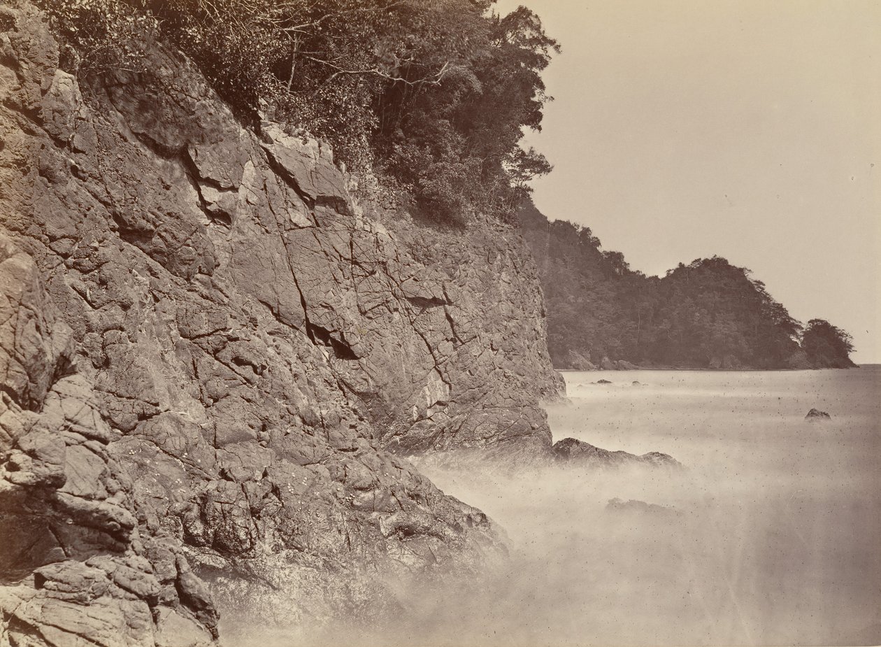 Tropisch landschap, klif - Limon Bay, 1871 door John Moran