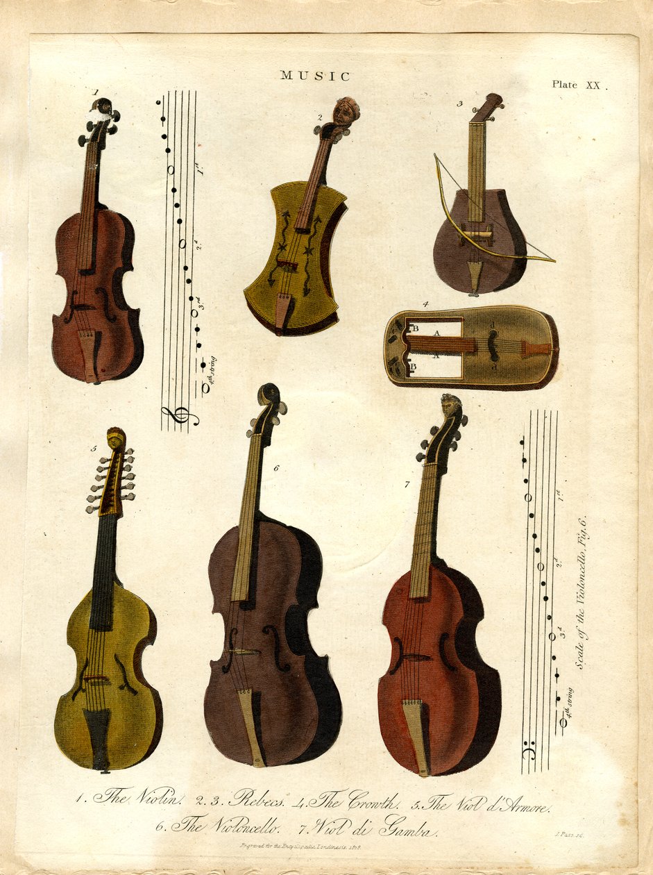 Snaarinstrumenten van klassieke muziek door John Pass