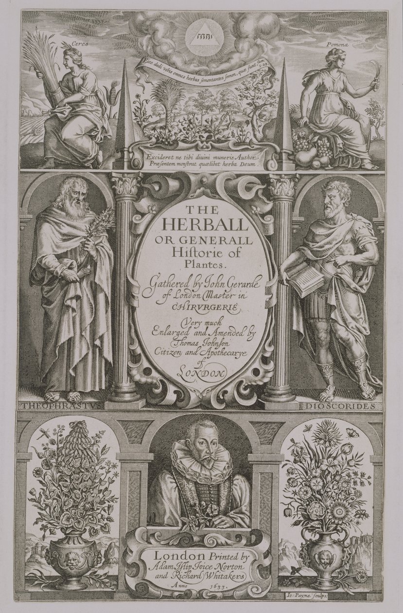 Titelpagina van de tweede editie van The Herball door John Gerard, 1633 door John Payne