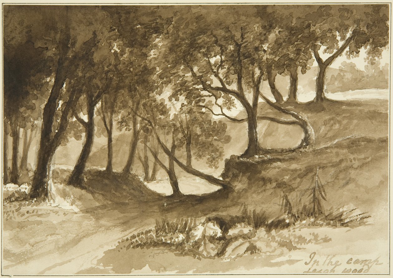 Uitzicht in het Burwalls Camp, Leigh Woods door John Reverend Eden