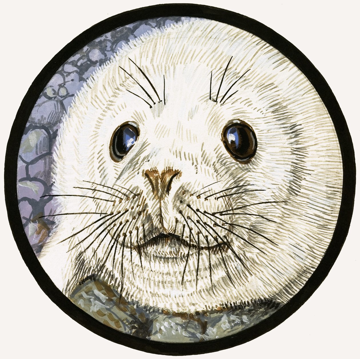 Onze zeevriend de zeehond door John Rignall