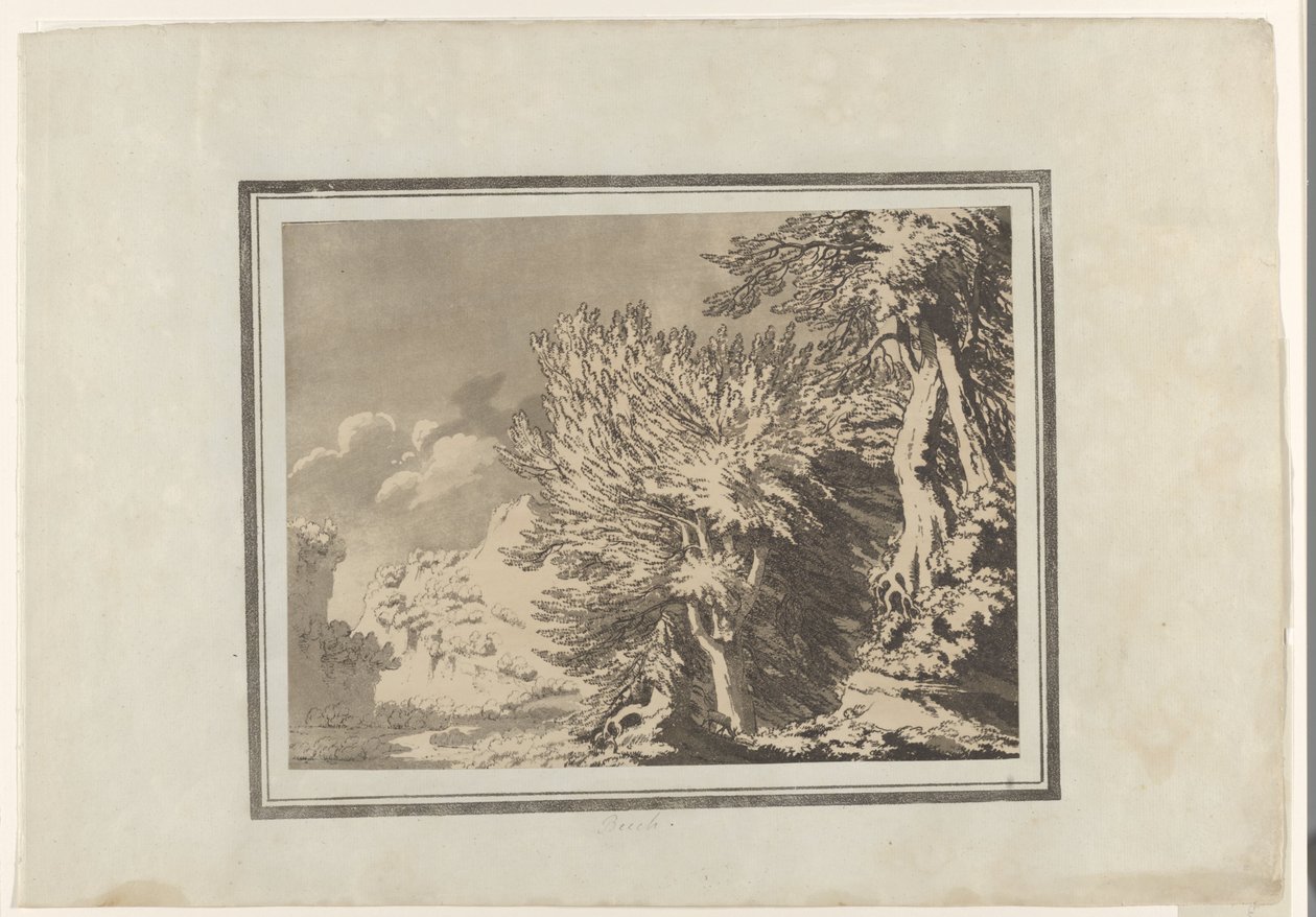 Beuk door John Robert Cozens