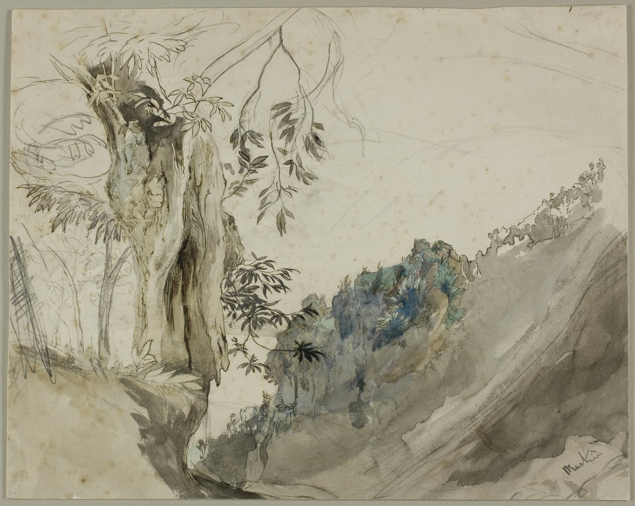Spaanse Kastanje door John Ruskin
