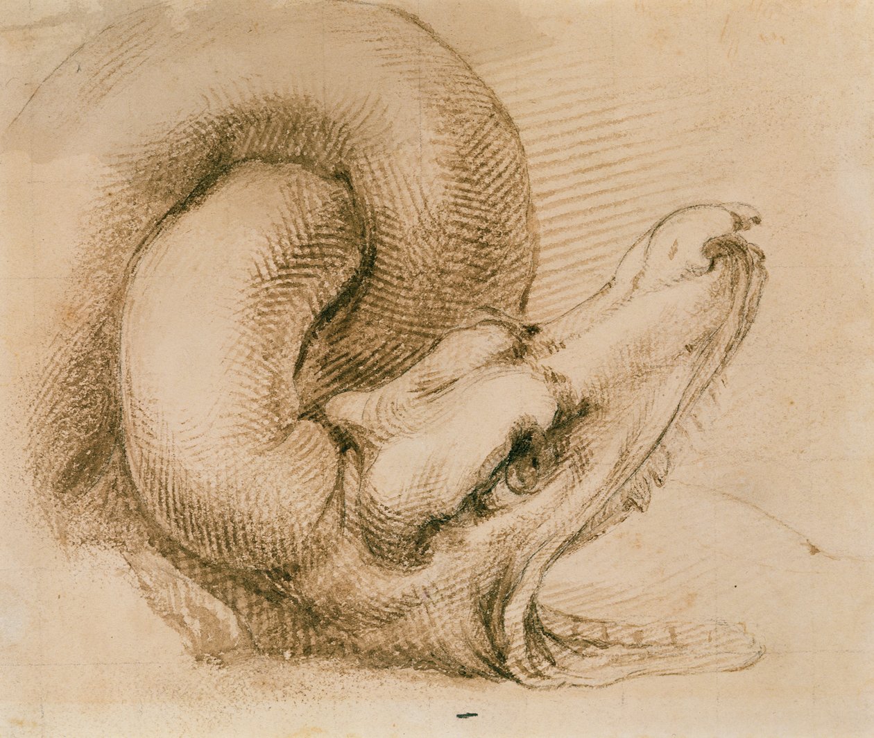 Studie van een drakenkop na Michelangelo door John Ruskin