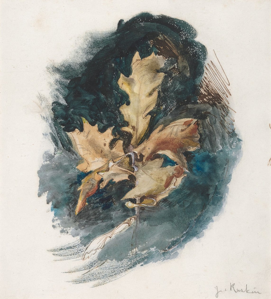 Studie van een eikenblad door John Ruskin