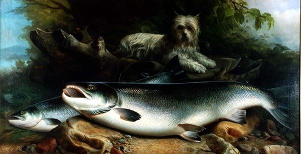 Bewaking van de Dagvangst; een Skye Terrier met een Haan en Hen Zalm door John Russell